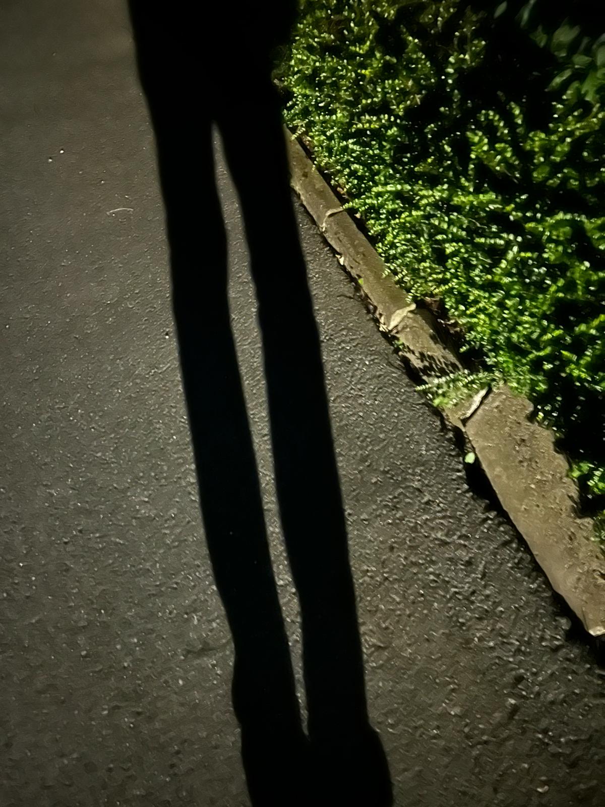 Microdozer Times — photo 60